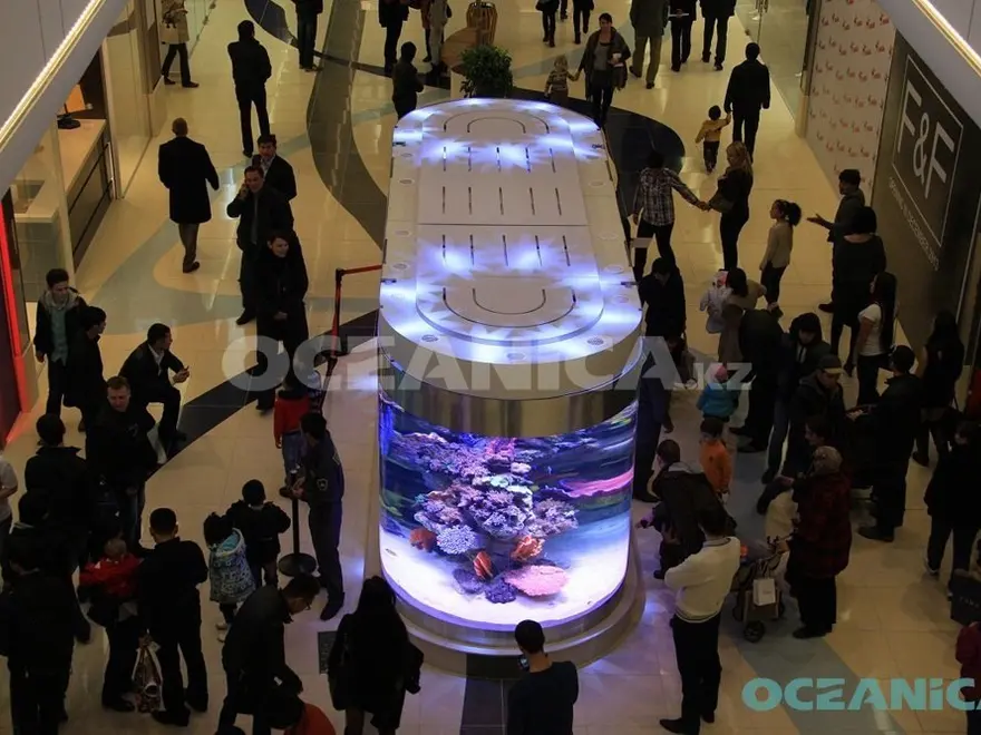 Рифовый аквариум MEGA Center Almaty, вид сверху